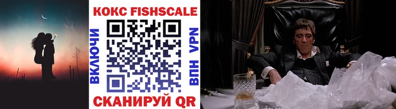 Купить закладки  Избербаш  COCAIN Эквадор 